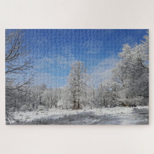 sneeuwdag legpuzzel (Horizontaal)