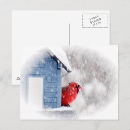 sneeuwdagkardinaal - vogel briefkaart (Voorkant / Achterkant)