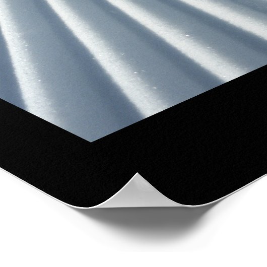 Sneeuwdagspoor Poster (Hoek)