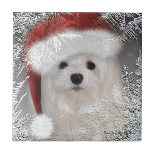 Sneeuwde de Maltese decoratieve keramische tegel Tegeltje