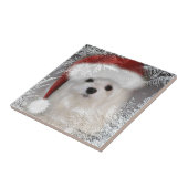 Sneeuwde de Maltese decoratieve keramische tegel Tegeltje (Zijkant)