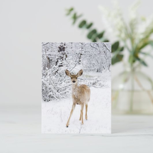 Sneeuwdeer Briefkaart (Staand voorkant)