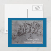 Sneeuwdeken in Vancouver Briefkaart (Voorkant / Achterkant)