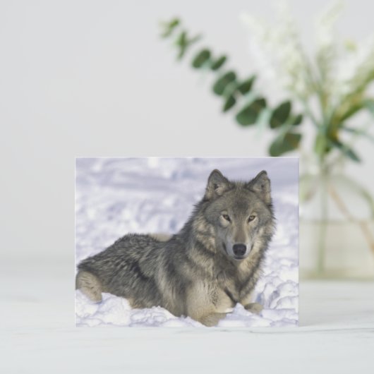 Sneeuwdier Briefkaart (Staand voorkant)