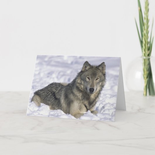 Sneeuwdier Feestdagen Kaart (Voorkant)