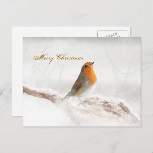 Sneeuwdouche Robin Redbreast Feestdagenkaart (Voorkant / Achterkant)
