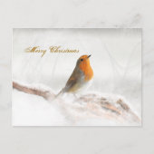 Sneeuwdouche Robin Redbreast Feestdagenkaart (Voorkant)