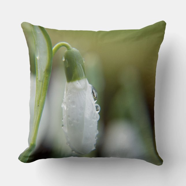 Sneeuwdrop Kussens (Voorkant)