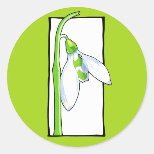 Sneeuwdruppel witte groene Sticker (Voorkant)