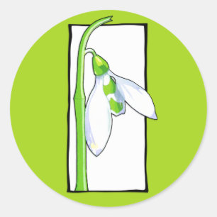 Sneeuwdruppel witte groene Sticker
