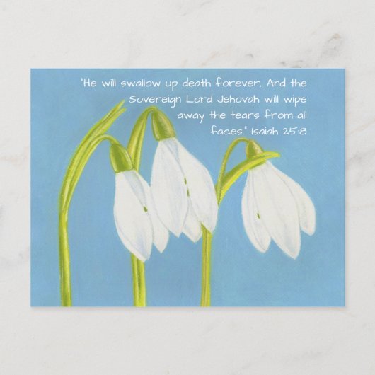 Sneeuwdruppelbloemen Briefkaart (Voorkant)