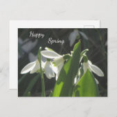 Sneeuwdruppels. Tekst Briefkaart (Voorkant / Achterkant)