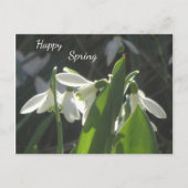 Sneeuwdruppels. Tekst Briefkaart (Voorkant)