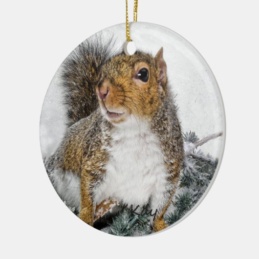 Sneeuweekhoorn Keramisch Ornament (Links)