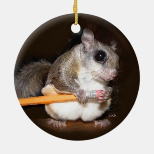 Sneeuweekhoorn Keramisch Ornament (Achterkant)