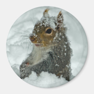Sneeuweekhoornmagneet Magneet
