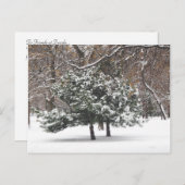 Sneeuwen Feestdagenkaart (Voorkant / Achterkant)