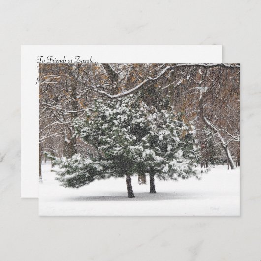 Sneeuwen Feestdagenkaart (Voorkant / Achterkant)