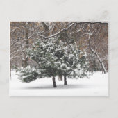 Sneeuwen Feestdagenkaart (Voorkant)