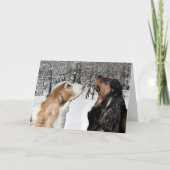Sneeuwen op Cavalier King Charles Spaniel kaart (Voorkant)