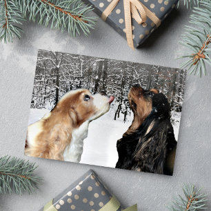 Sneeuwen op Cavalier King Charles Spaniel kaart