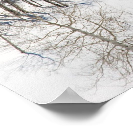 Sneeuwen op Dallas Didging Poster (Hoek)