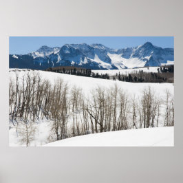 Sneeuwen op Dallas Didging Poster