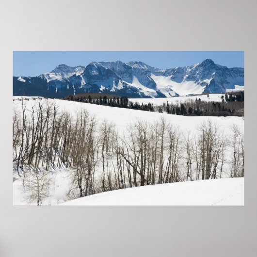 Sneeuwen op Dallas Didging Poster (Voorkant)