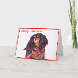 Sneeuwende Cavalier King Charles Spaniel Kerstmis Feestdagen Kaart