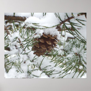 Sneeuwende Dennenappel I Winter Natuurfotografie Poster