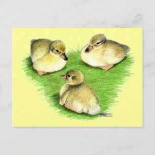 Sneeuwende eendkuikens briefkaart