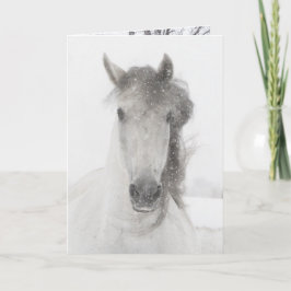 Sneeuwende Merrie - Paard Wenskaart Feestdagen Kaart