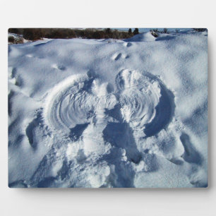 Sneeuwengel Fotoplaat