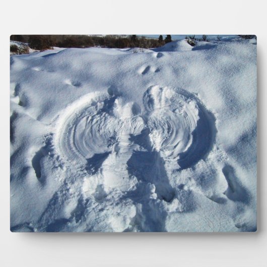 Sneeuwengel Fotoplaat (Voorkant)