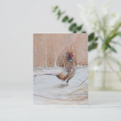 Sneeuwfazant Briefkaart (Staand voorkant)