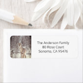 Sneeuwfeest Etiket (Insitu)