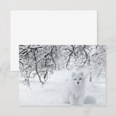sneeuwfox in winterBossen Bedankkaart (Voorkant / Achterkant)