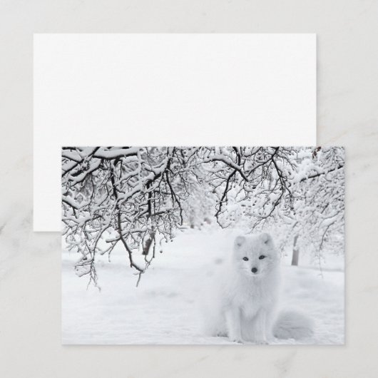 sneeuwfox in winterBossen Bedankkaart (Voorkant / Achterkant)