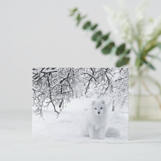 sneeuwfox in winterBossen Briefkaart (Staand voorkant)