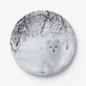 sneeuwfox in winterBossen Papieren Bordje (Voorkant)