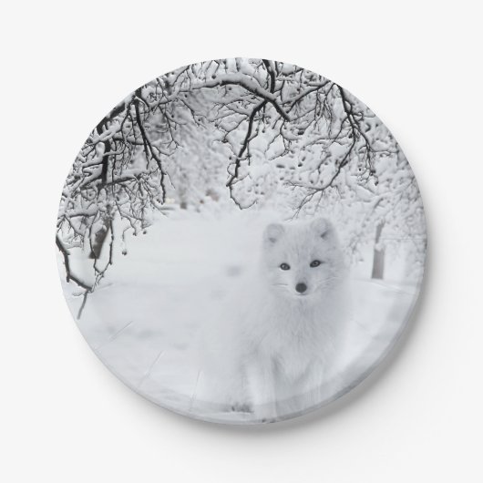 sneeuwfox in winterBossen Papieren Bordje (Voorkant)