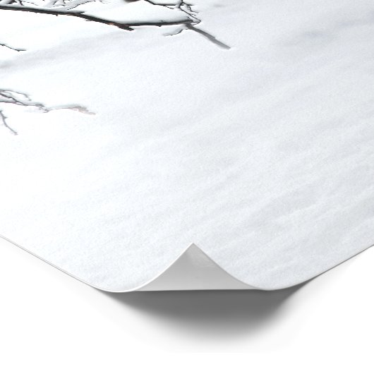 sneeuwfox in winterBossen Poster (Hoek)