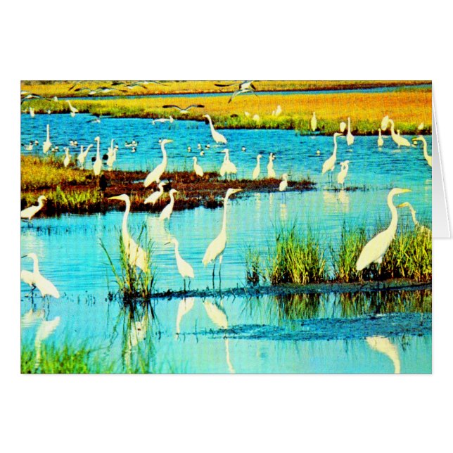 sneeuwfret (Voorkant Horizontaal)