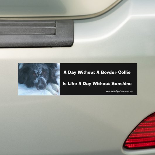 Sneeuwfront Border Collie Cute Dog Bumpersticker (Op auto)
