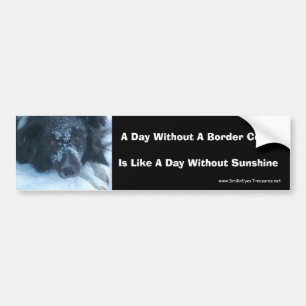 Sneeuwfront Border Collie Cute Dog Bumpersticker