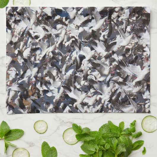 Sneeuwgans, afgebroken theedoek (Gevouwen)