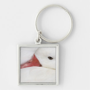 Sneeuwgans Chen caerulescens Sleutelhanger