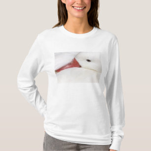 Sneeuwgans Chen caerulescens T-shirt