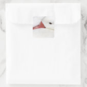 Sneeuwgans Chen caerulescens Vierkante Sticker (Tas)