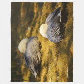 Sneeuwgans dromen in de zomer van de zon fleece deken (Voorkant)